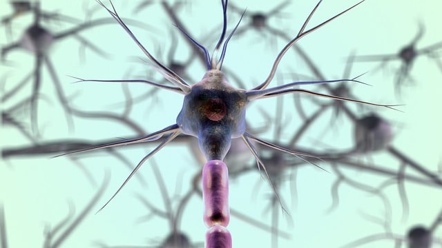 La respirazione per ridurre ansia e stress